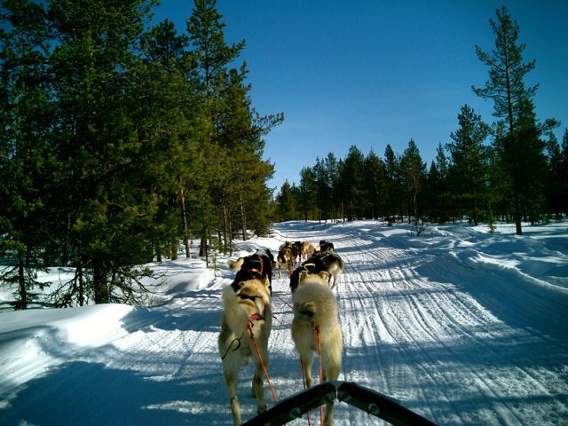 Francisca Mattéoli | Sweden – Memories of Lapland