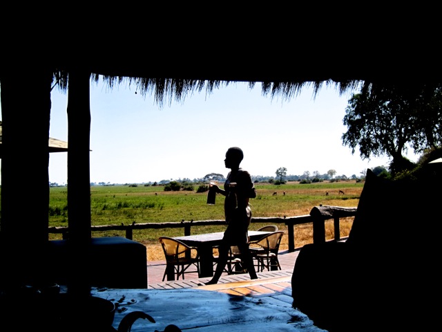 Francisca Mattéoli - Safari Botswana